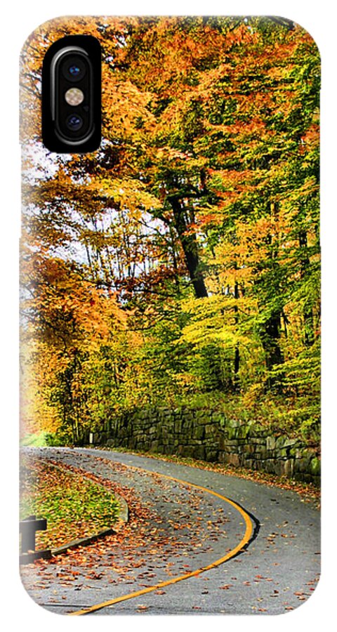 Monroe Falls State Park iPhone X Case featuring the photograph Curve in the Road by Kristin Elmquist