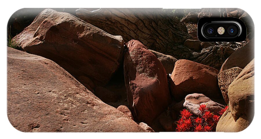 Desert Paintbrush iPhone X Case featuring the photograph Desert Paintbrush Zion National Park by Benjamin Dahl