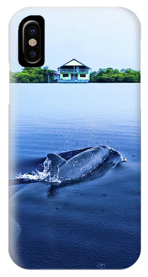 Dolphin iPhone X Case featuring the photograph Dolphins by the Mangrove House by Steven Llorca