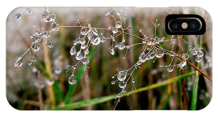 Droplets iPhone X Case featuring the photograph Droplets on Grass by John Chatterley