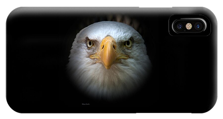 Eagle iPhone X Case featuring the photograph Eagle by Rebecca Samler