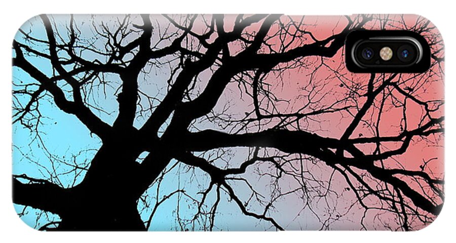 Tree iPhone X Case featuring the photograph Evening Breaks by Amy Sorrell
