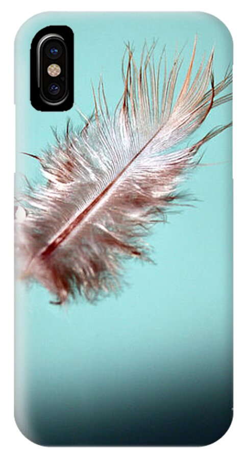 Feather iPhone X Case featuring the photograph Feather by Kelly Holm