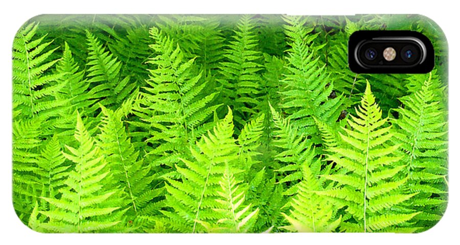 Ferns iPhone X Case featuring the photograph Ferns Galore filtered by Duane McCullough