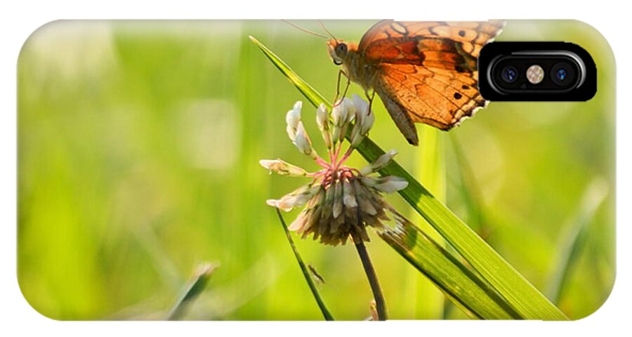 Fritillary iPhone X Case featuring the photograph Flitilary by JD Grimes