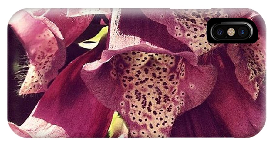 Foxglove iPhone X Case featuring the photograph Foxgloves by Nic Squirrell