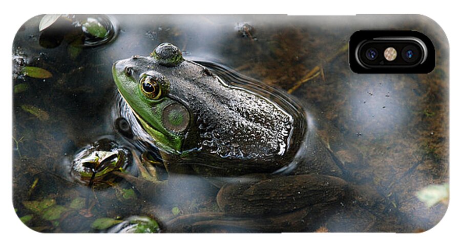 Green Frog iPhone X Case featuring the photograph Frog in the Millpond by Kay Lovingood