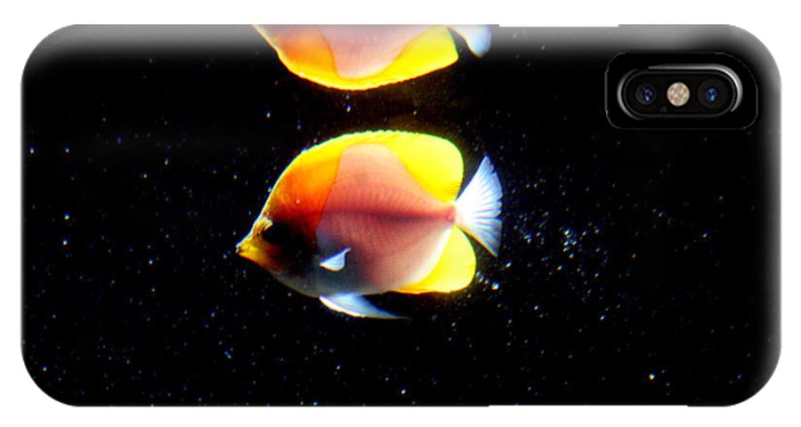 Waikiki Aquarium iPhone X Case featuring the photograph Golden Fish Reflection by Jennifer Bright Burr