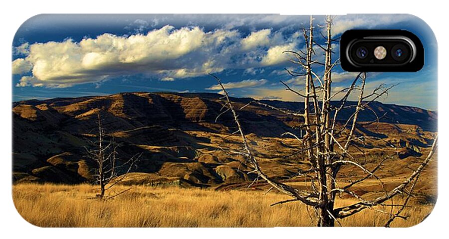 John Day Fossil Beds National Monument iPhone X Case featuring the photograph Golden Hills by Adam Jewell