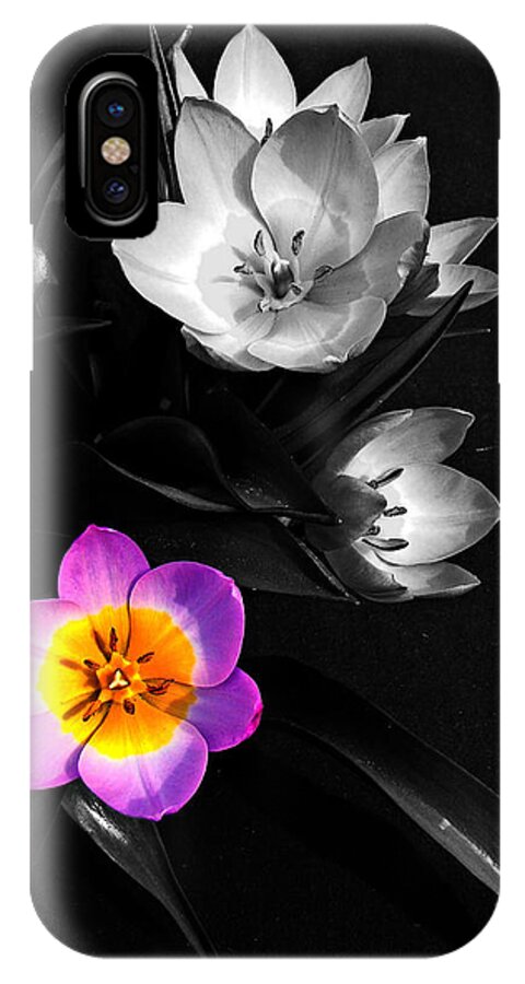Tulip iPhone X Case featuring the photograph Grabbing the Spotlight by Nick Kloepping