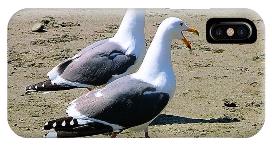 Seagull Canvas Prints iPhone X Case featuring the photograph Gull Talk by Wendy McKennon