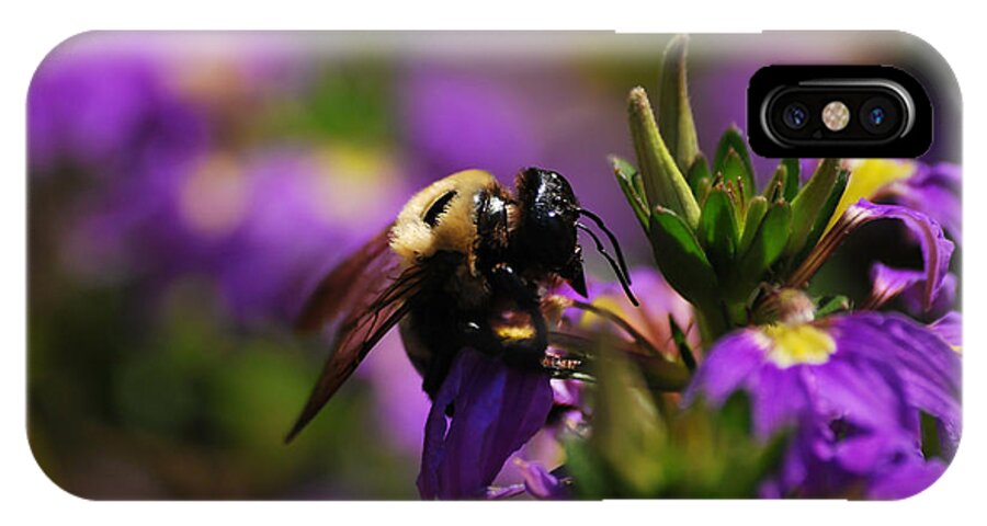 Bee iPhone X Case featuring the photograph I Love My Job by Lori Tambakis
