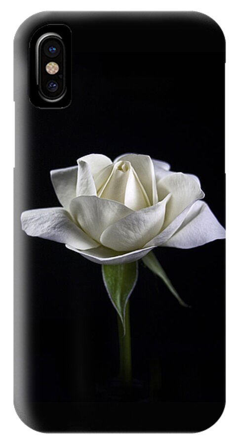 White Rose iPhone X Case featuring the photograph Innocence by Elsa Santoro
