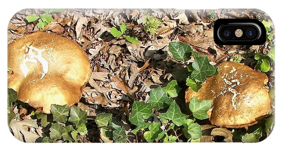 Nature iPhone X Case featuring the photograph Invasive Shrooms by Pamela Hyde Wilson