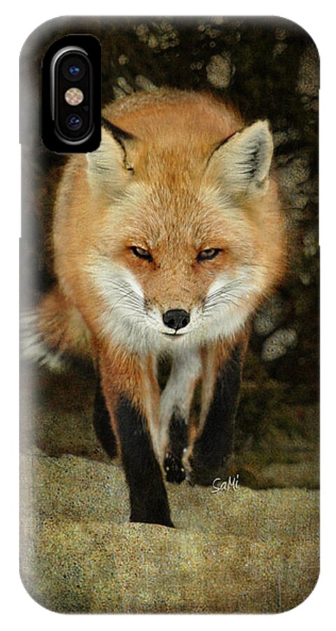 Fox iPhone X Case featuring the photograph Island beach fox by Sami Martin