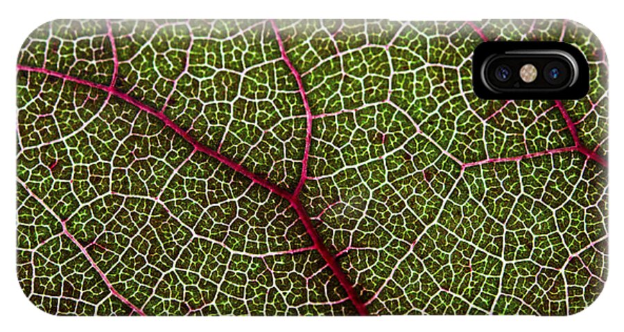 Macro iPhone X Case featuring the photograph Leaf by Fabrizio Troiani