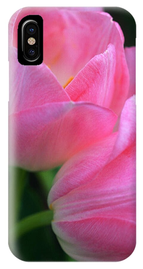 Floral iPhone X Case featuring the photograph Lean on Me by Kathy Yates