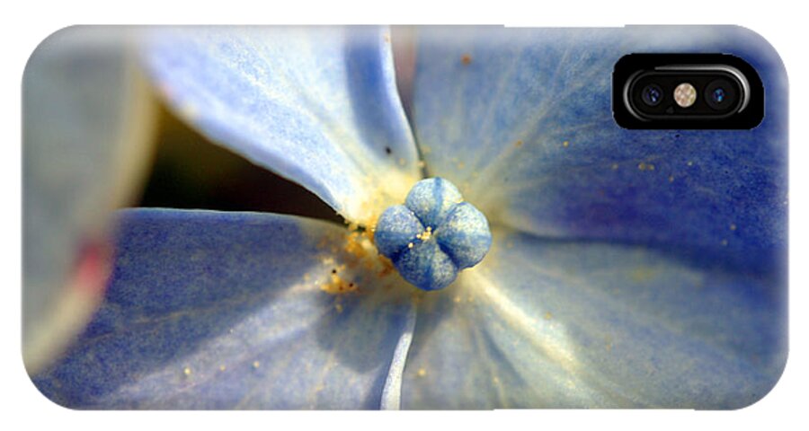Hydrangea Flower iPhone X Case featuring the photograph Little Blue Flower by Kay Lovingood