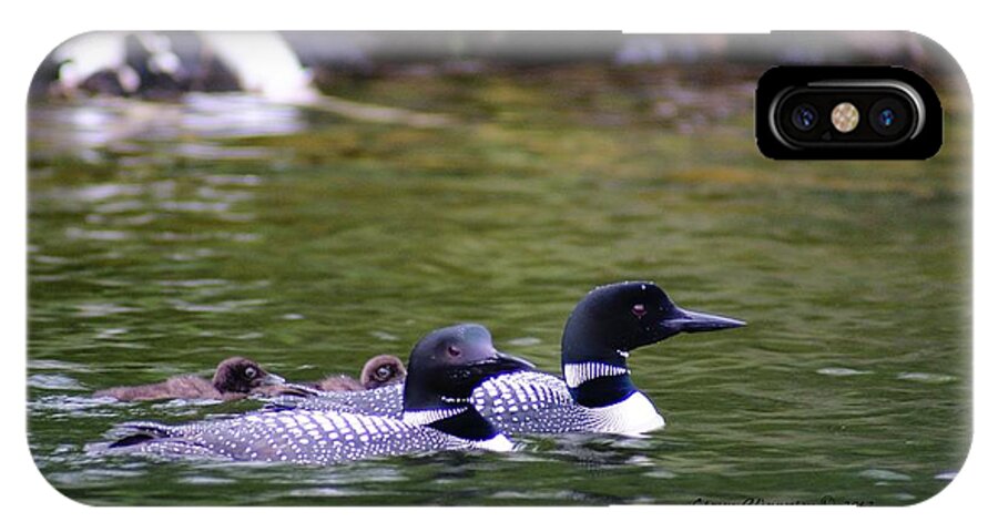 Loons iPhone X Case featuring the photograph Loons with Twins 4 by Steven Clipperton