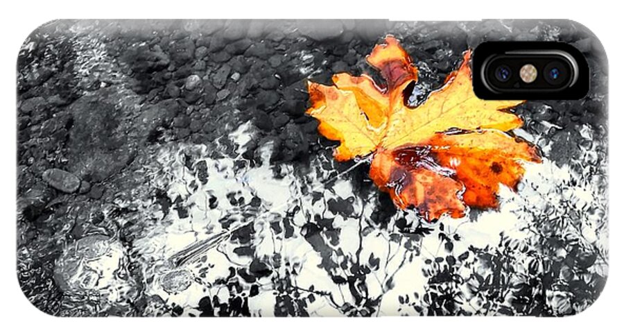 Maple Leaf iPhone X Case featuring the photograph Maple Leaf Selective Color by Peter Mooyman