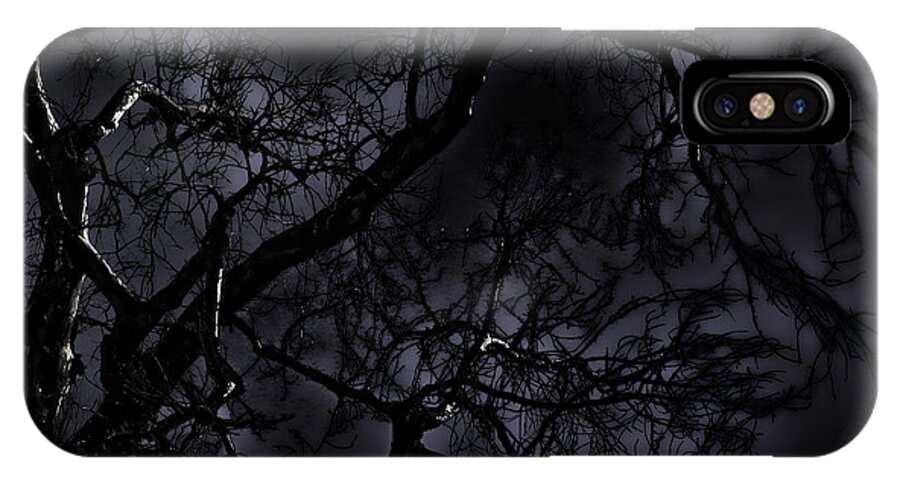 Tree iPhone X Case featuring the photograph Midnight Tree 1 by David Sanchez