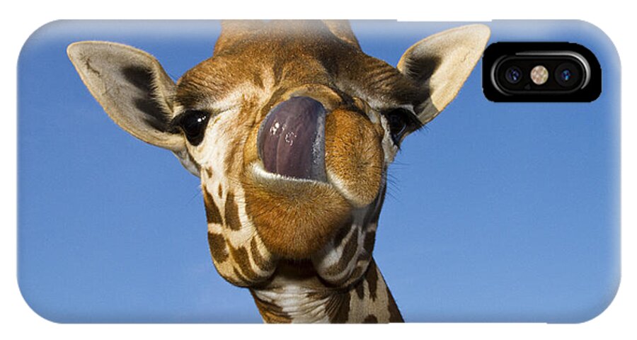 Giraffe iPhone X Case featuring the photograph Mmmm Mmmmm Good by Carrie Cranwill
