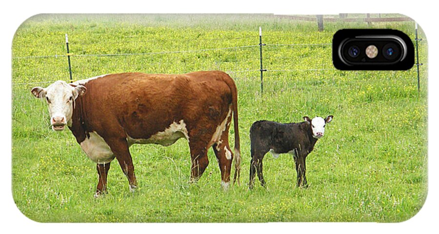 Cow Canvas Prints iPhone X Case featuring the photograph MOOma and Calf by Wendy McKennon