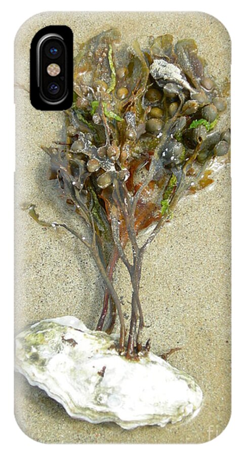 Saint-malo iPhone X Case featuring the photograph Mother Nature... The Only True Artist by Donato Iannuzzi