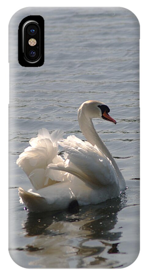 Swan iPhone X Case featuring the photograph Mute Swan by Chris Day
