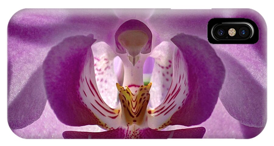 Color Photography iPhone X Case featuring the photograph Orchid  by Sue Stefanowicz