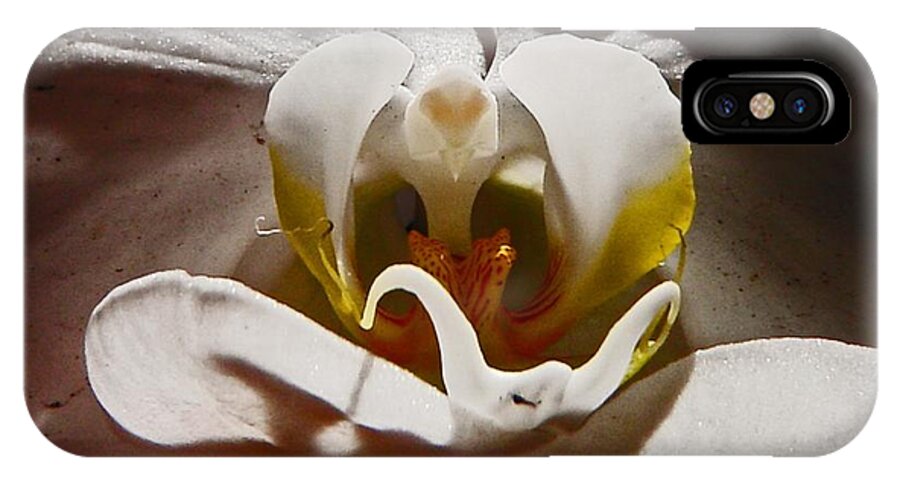 Orchids iPhone X Case featuring the photograph Orchid by Daniele Smith