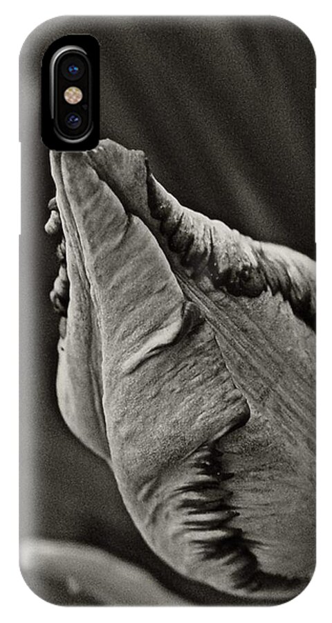  iPhone X Case featuring the photograph Parrot Tulip in Black and White by Chris Berry