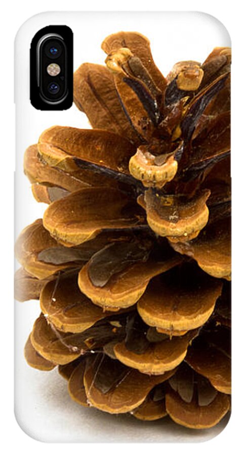 Pine Cone iPhone X Case featuring the photograph Pine cone by Jean Noren