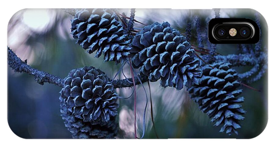 Tree iPhone X Case featuring the photograph Pine Cones by Billy Beck