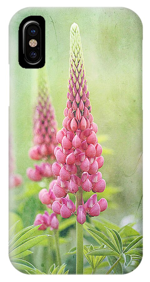 Lupine iPhone X Case featuring the photograph Pink Lupine by Cindi Ressler