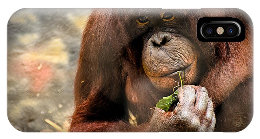 Orangutan iPhone X Case featuring the photograph Pondering by Mark Papke