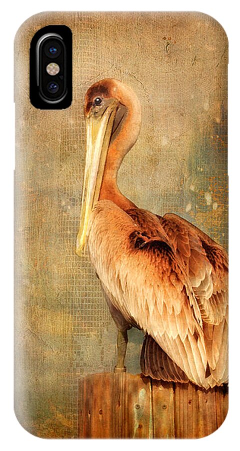 Pelican iPhone X Case featuring the photograph Portrait of a Pelican by Karen Lynch