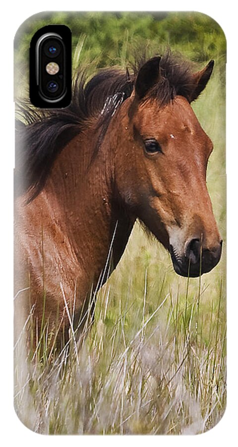 Wild iPhone X Case featuring the photograph Portrait of a Spanish Mustang by Bob Decker