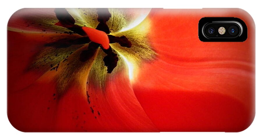 Flower iPhone X Case featuring the photograph Red Dawn by Dorlea Ho