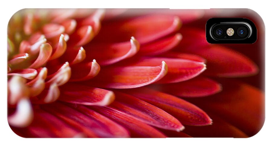 Clare Bambers iPhone X Case featuring the photograph Red Petals Abstract 1 by Clare Bambers