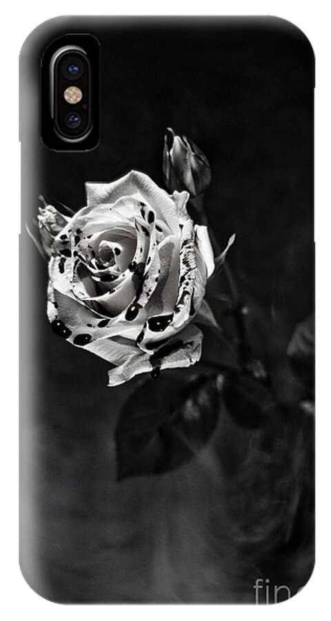 Goth iPhone X Case featuring the photograph Red Rose by Randall Cogle