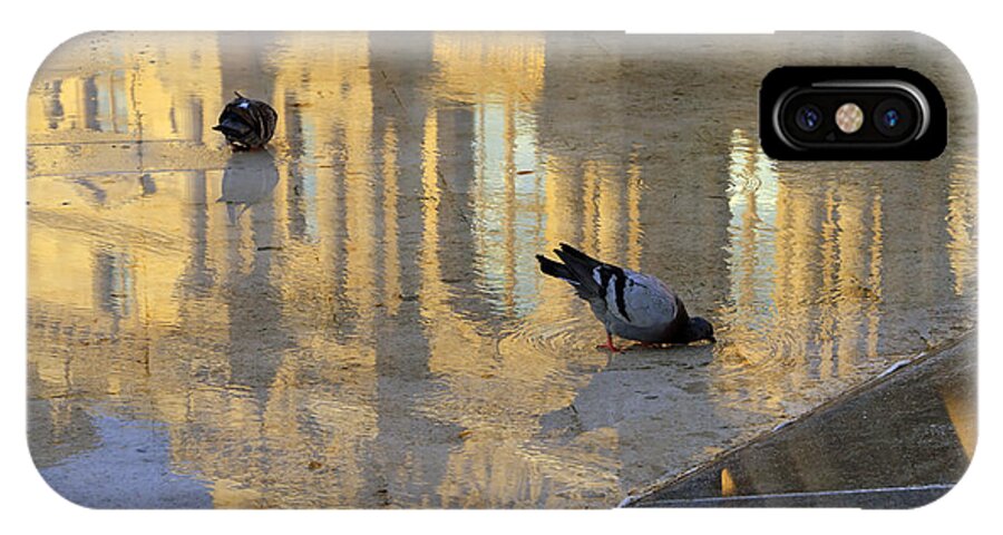 Pigeons iPhone X Case featuring the photograph Reflection of the Louvre in Paris by Louise Heusinkveld