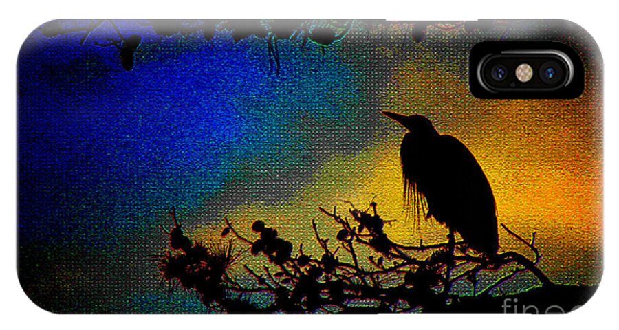 Wildlife iPhone X Case featuring the photograph Richly Colored Night by Ola Allen