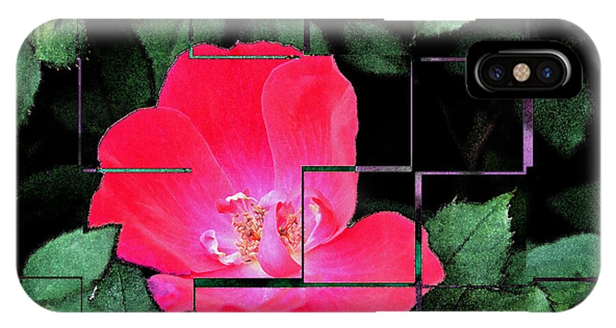 Teresa Blanton iPhone X Case featuring the photograph Rose Interrupted by Teresa Blanton