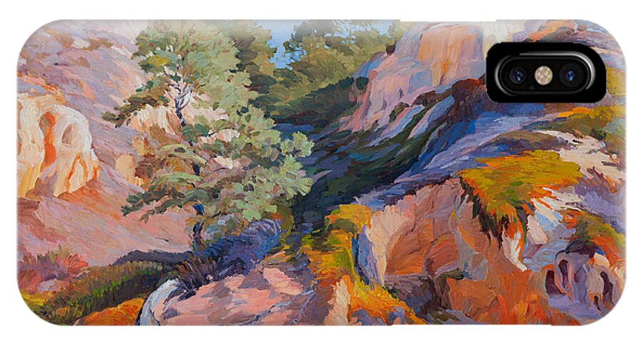 Oil Painting iPhone X Case featuring the painting Sandstone Canyon at Torrey Pines by Judith Barath