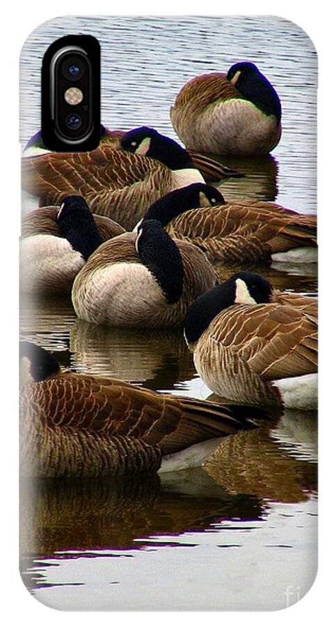 Goose iPhone X Case featuring the photograph Sleepy Geese by Art Dingo