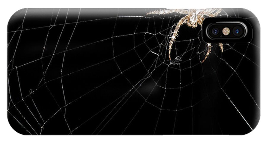 Web iPhone X Case featuring the photograph Spider In His Web At Night. Square Format by Ausra Huntington nee Paulauskaite