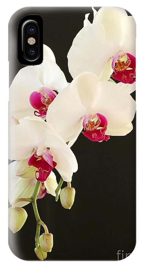 Orchid iPhone X Case featuring the photograph Spray of White Orchids by Sabrina L Ryan