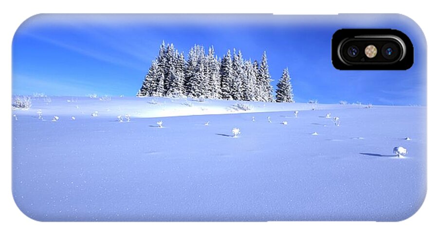 Snow iPhone X Case featuring the photograph Spruce Grove in Winter by Michele Cornelius