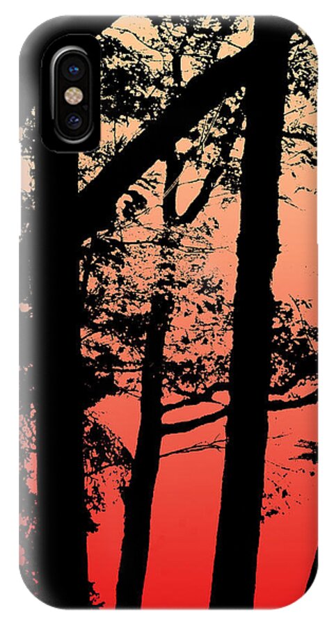 Lauren Radke iPhone X Case featuring the photograph Summer Sunset by Lauren Radke